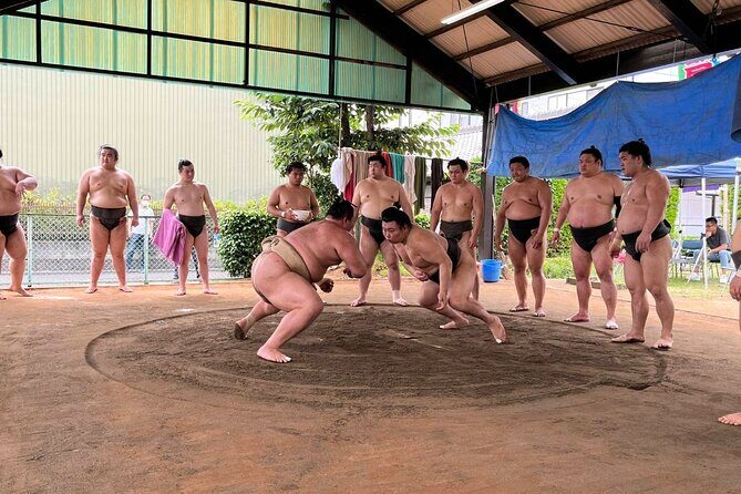 Skip the Line Ticket to Sumo Morning Practice at Nagoya - Key Points
