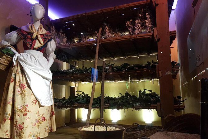 Skip the Line: Valencia Silk Museum Ticket Entrance - A Practical Guide to the Valencia Silk Museum Experience