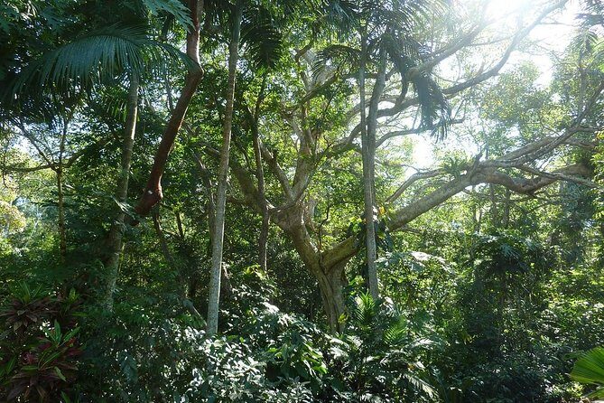 Skip the Line: Vallarta Botanical Garden Admission Ticket - The Guided Tour Option