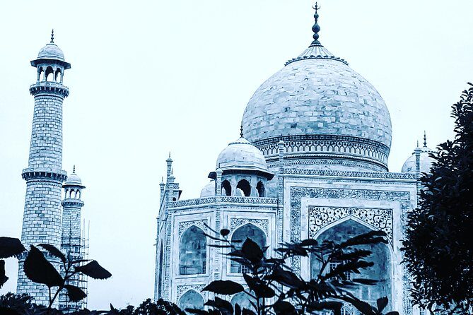 Skip the line with Private Tour Guide for Taj Mahal & Agra Fort - Who Should Consider This Tour?