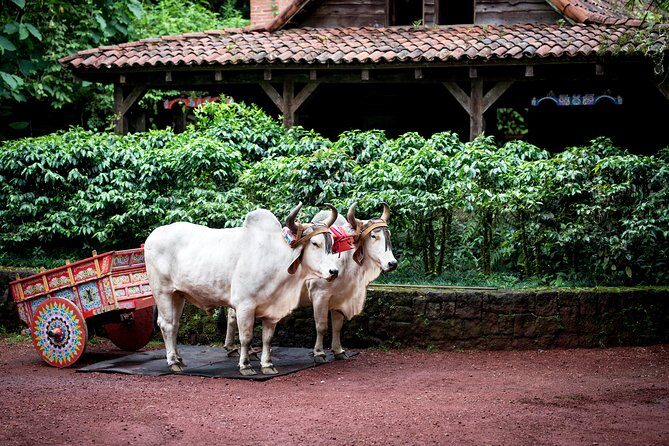 Skip the Line:Day Ticket-La Paz Waterfall Gardens Nature Park & Wildlife Refuge - Final Thoughts