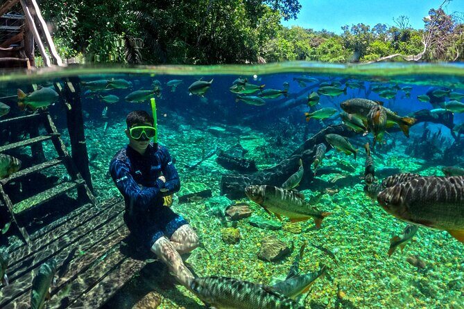 Skip the Line:Recanto Ecologico Rio da Prata Ticket including Trail & Snorkeling - An in-depth look at the Rio da Prata experience