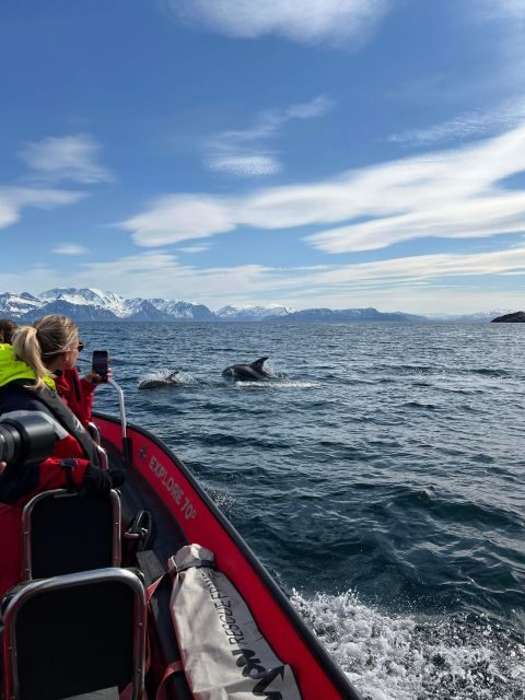 Skjervøy: Birds and Wildlife of Arctic Norway - Exploring Skjervøy: Birds and Wildlife of Arctic Norway