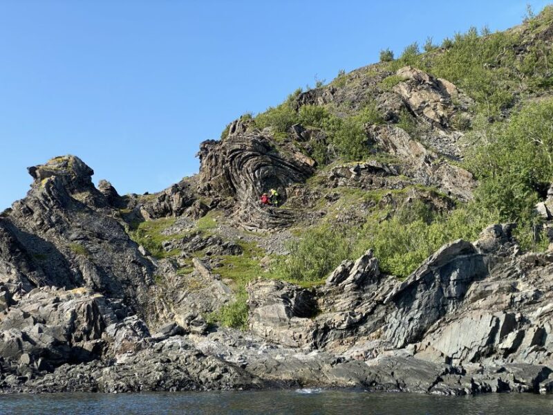 Skjervøy: Birds and Wildlife of Arctic Norway - Is It Worth the Price?
