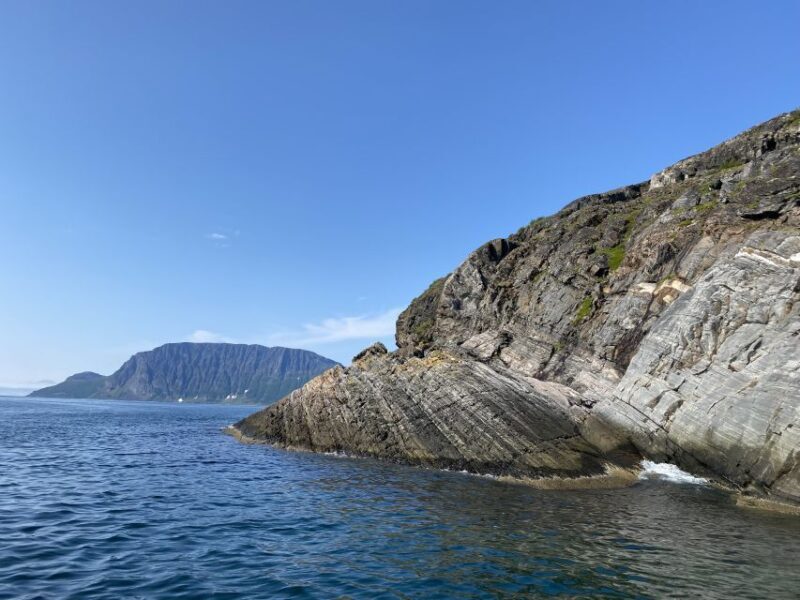 Skjervøy: Birds and Wildlife of Arctic Norway - Who Will Love This Tour?
