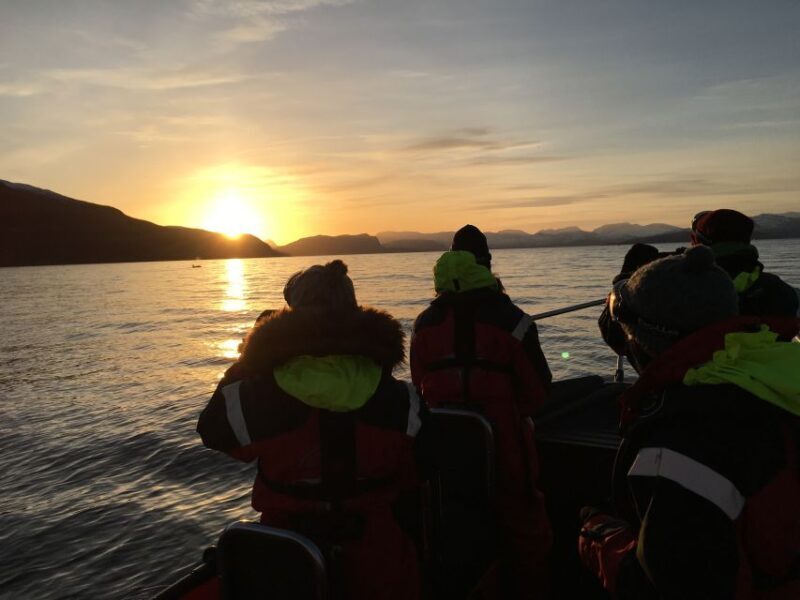 Skjervøy: Birds and Wildlife of Arctic Norway - FAQ