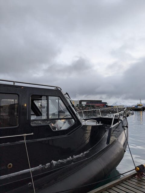 Skjervøy: Orca and Whale-Watching comfort heated Boat Trip - Why Choose This Whale-Watching Experience?