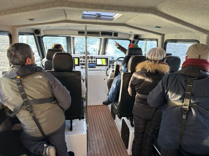 Skjervøy: Orca and Whale-Watching comfort heated Boat Trip - Who Is This Tour Best For?