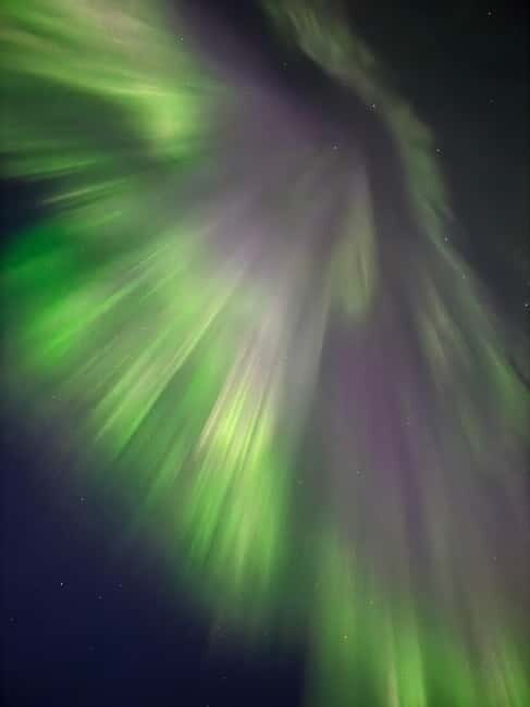 Skjervøy,North of Tromsø:Northern Lights Stargazing(Minivan) - What We Love About This Experience