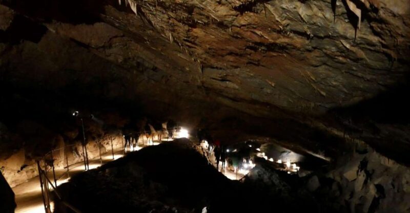 Skocjan cave day tour from Ljubljana - What to Expect on the Tour