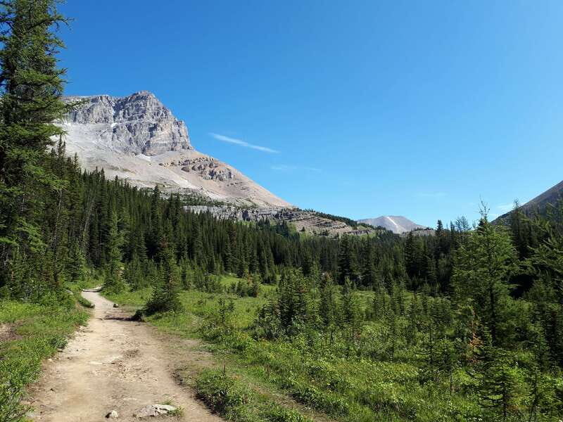 Skoki Lake Louise Daily Guided Hike in the Canadian Rockies - The Sum Up