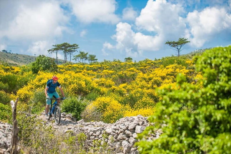 Skopje: Yugoslav Communist Tour on 2 wheels - An In-Depth Look at the Skopje Bicycle Tour