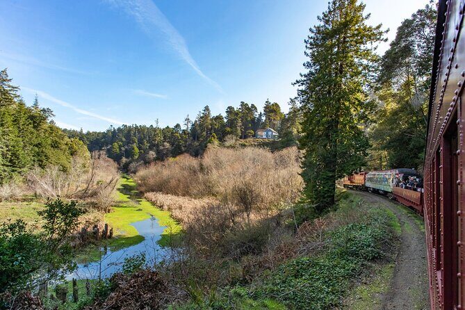 Skunk Train: Pudding Creek Express from Fort Bragg - Key Points