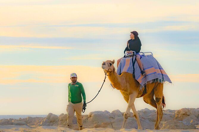 Sky Bike Free Camel Ride and Horseback Riding - Key Points