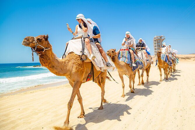 Sky Bike Free Camel Ride and Horseback Riding - Final Thoughts