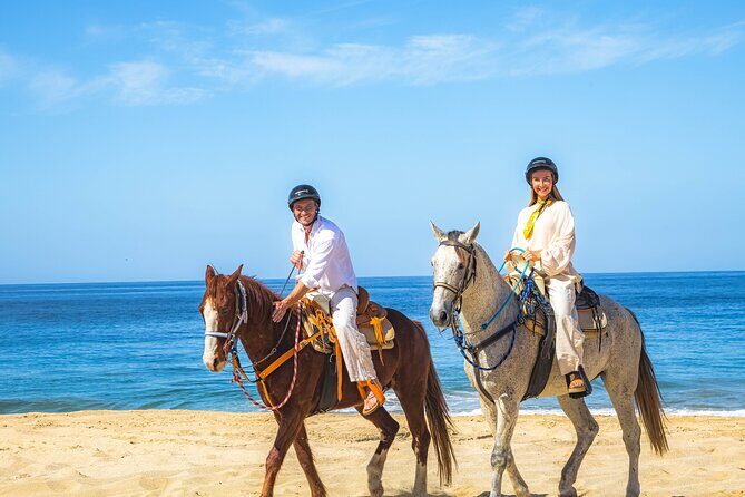 Sky Bike Free Camel Ride and Horseback Riding - FAQ