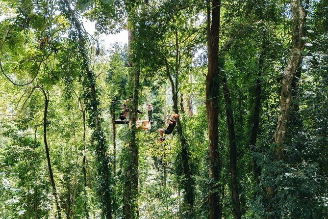 Sky Rock Khaolak Jungle Adventure Zipline Experience - The Setting: What Makes the Environment Special?
