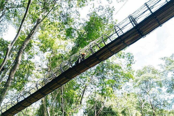 Sky Rock Khaolak Jungle Adventure Zipline Experience - What Makes This Tour Special?