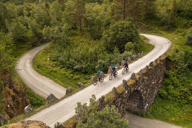 Sky to Fjord Geiranger Downhill Biking Adventure - Who Will Love This Experience?