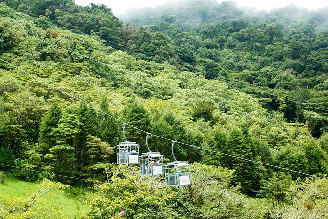 Sky Tram & Sky Trek From Arenal - The Experience in Detail