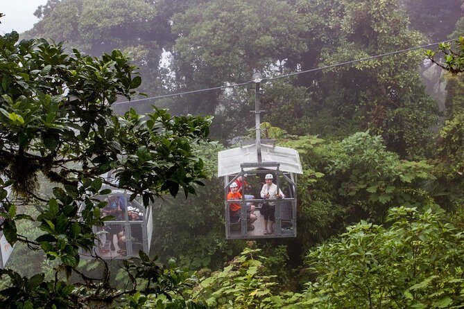 Sky Tram & Sky Trek From Monteverde - Experience the Cloud Forest and Rainforest Canopy in Monteverde