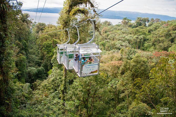 Sky Trek & Sky Tram at MONTEVERDE - Key Points