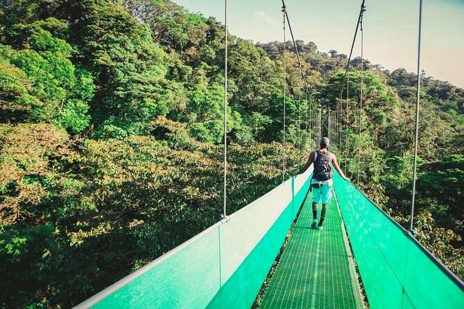Sky Walk From Monteverde - Key Points