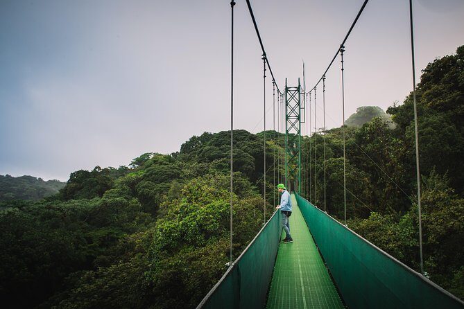 Sky Walk From Monteverde - A Deep Dive into the Sky Walk Experience