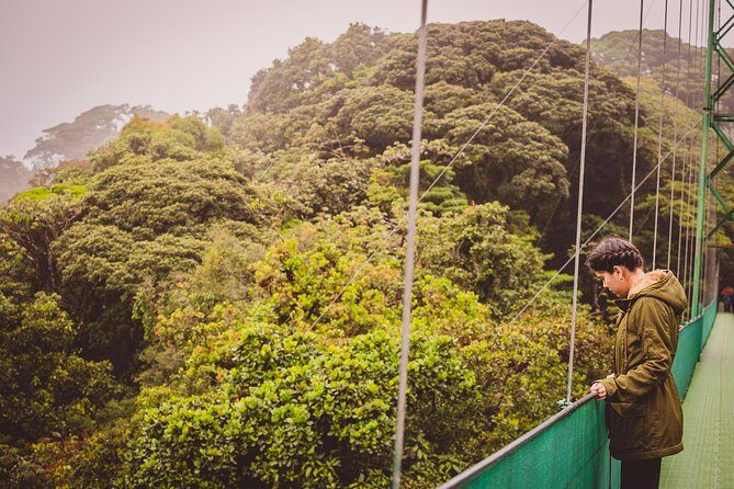 Sky Walk From Monteverde - The Sum Up