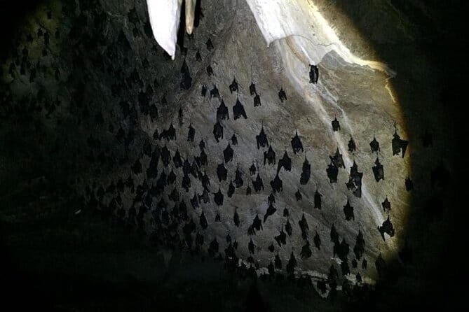 SkyCab & Sky Bridge Discovery  Exclusive Private Tour - An In-Depth Look at the Tour Experience