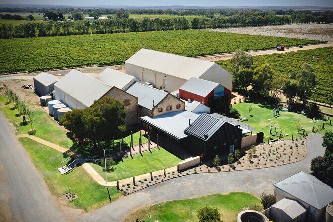 Skydive into Bremerton Wines + Wine Tasting in Langhorne Creek - Authentic Experiences We Found in Reviews