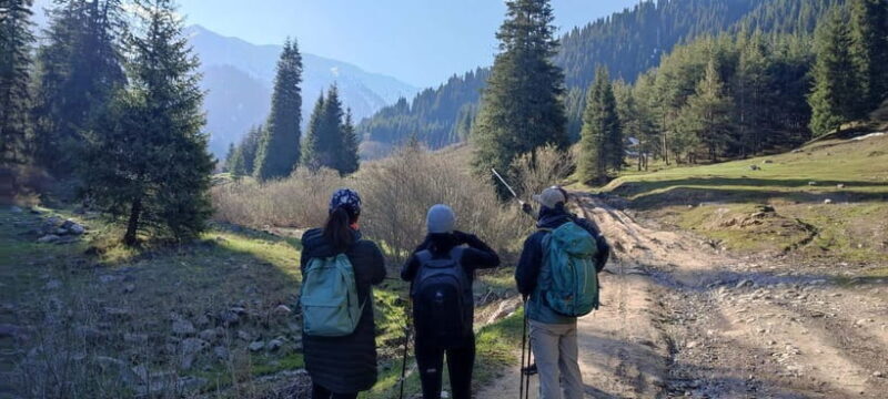 Skyline Hike in Almaty: Bukreev Peak - The Itinerary: What You Can Expect