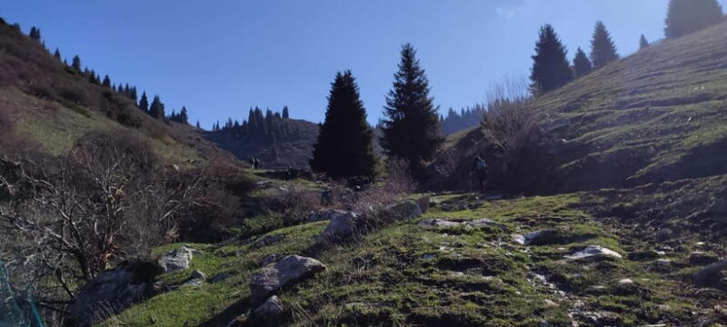 Skyline Hike in Almaty: Bukreev Peak - The Sum Up