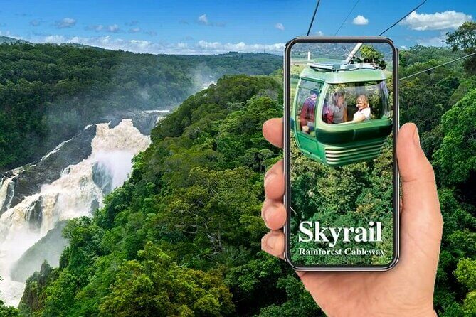 SKYRAIL CABLEWAY TRANSFER between Port Douglas & Skyrail (RETURN) - Introduction: A Seamless Way to Reach the Skyrail from Port Douglas