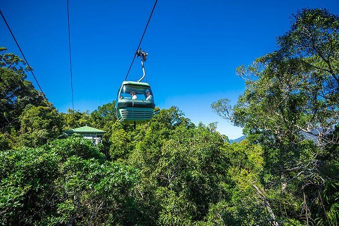 Skyrail Rainforest Cableway Day Trip from Cairns - An Authentic Day in Tropical North Queensland: Skyrail Rainforest Cableway from Cairns