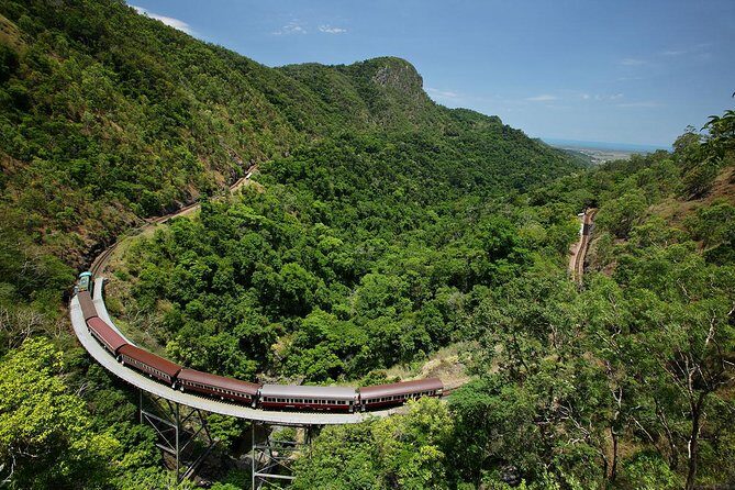 Skyrail Rainforest Cableway Day Trip from Palm Cove - Discover Tropical North Queensland with the Skyrail Rainforest Cableway Day Trip from Palm Cove
