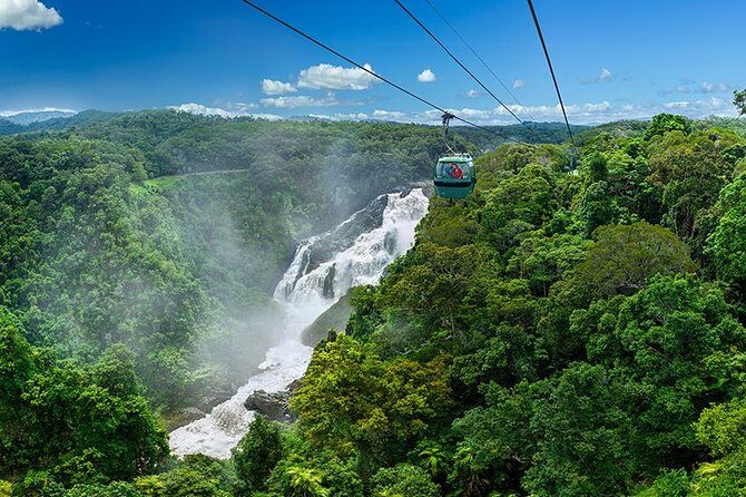 Skyrail Rainforest Cableway Day Trip from Port Douglas - Key Points