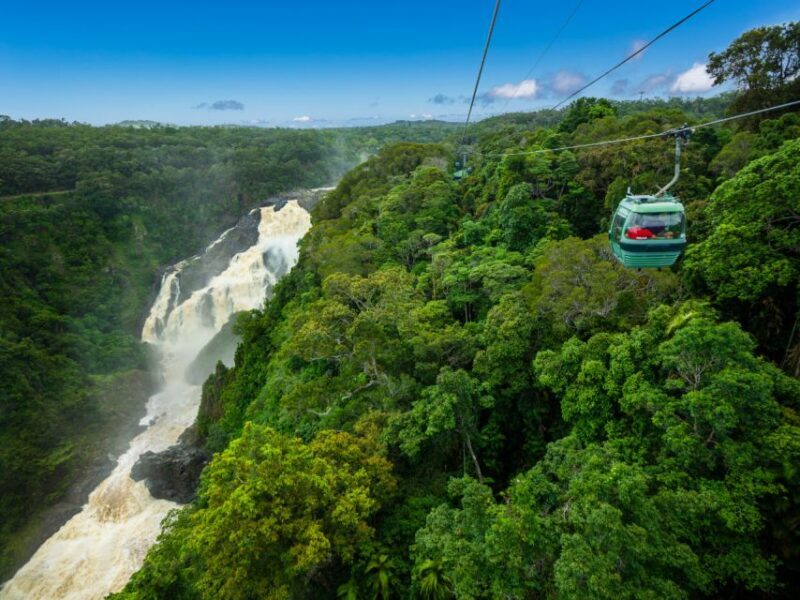Skyrail Rainforest Cableway Round-Trip Experience - Discovering the Skyrail Rainforest Cableway: An Aerial Adventure in Queensland