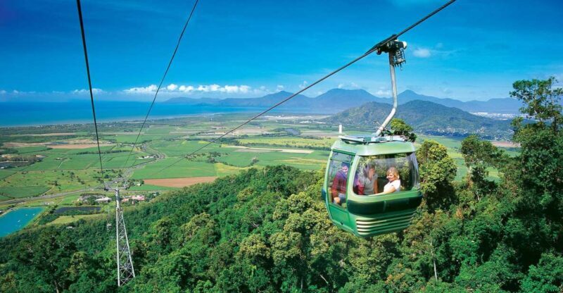 Skyrail Rainforest Cableway Round-Trip Experience - The Itinerary Breakdown