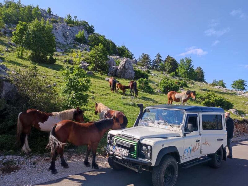 Skywalk (1228 m) and St. George (1762 m) Defender Tour - An in-Depth Look at the Tour Experience