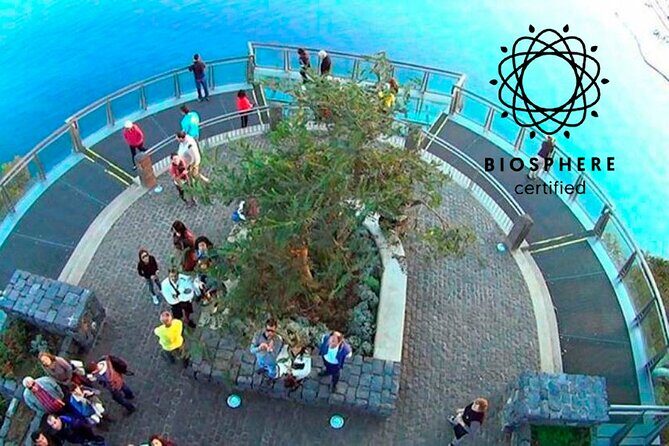 Skywalk and 4x4 Adventure with Amazing Views and Wine Tasting - In-Depth Look at the Itinerary