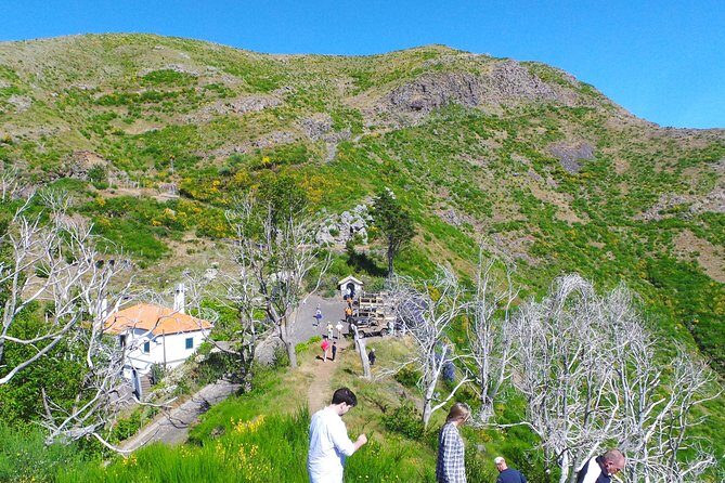 Skywalk and 4x4 Adventure with Amazing Views and Wine Tasting - Who Will Love This Tour?