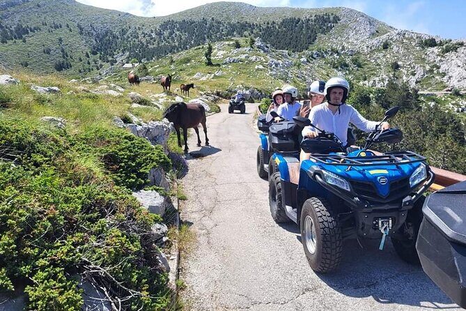 Skywalk Biokovo ATV Quad Tour - Why This Tour Is Worth Considering