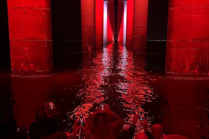 Skyway Light Show Tour Under the Stars - Who Will Love This Tour?