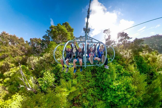 Skywire Adventure at Cable Bay, Nelson - Authentic Perspectives from Visitors