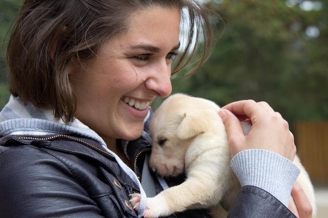 Sled Dog Adventure in Skagway - FAQ