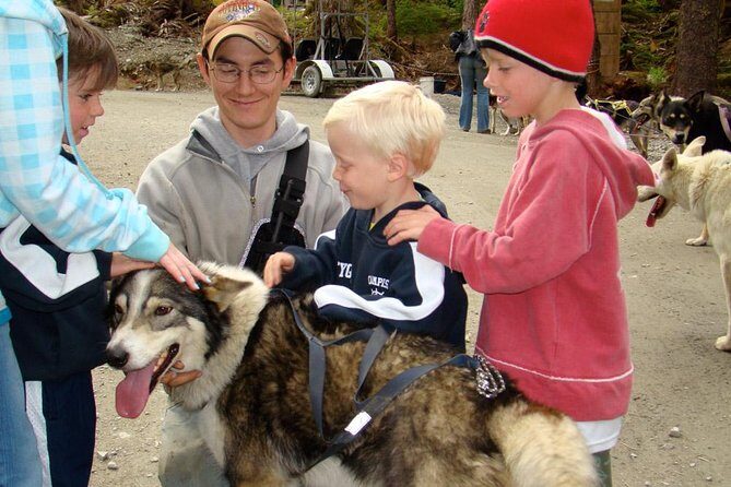 Sled Dog Discovery in Juneau - In-Depth Review of Sled Dog Discovery in Juneau