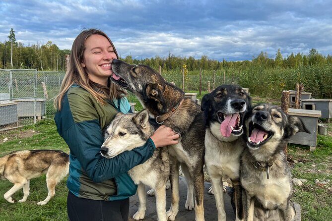 Sled Dog Kennel Tour - A Close Encounter with Alaska’s Huskies: The Sled Dog Kennel Tour in Talkeetna