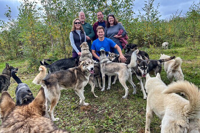 Sled Dog Kennel Tour - Key Points