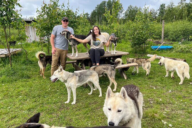 Sled Dog Kennel Tour - Who Will Enjoy This Experience?